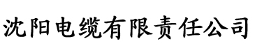 香蕉视频苹果安装电缆厂logo